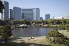 浜離宮恩賜庭園 池と対岸の茶屋