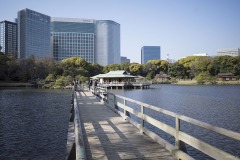 浜離宮恩賜庭園 お伝い橋