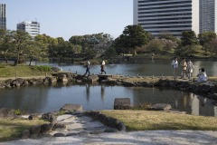 旧芝離宮恩賜庭園 池の飛び石
