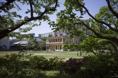 旧岩崎邸庭園 木立ごしに見る洋館