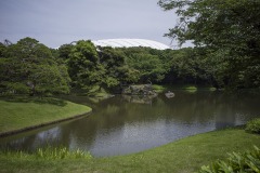 小石川後楽園 池ごしに見える東京ドーム