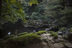 殿ヶ谷戸庭園 池畔を歩く人
