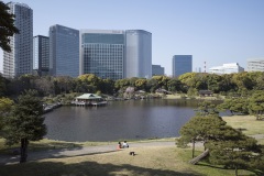 浜離宮恩賜庭園