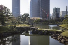 旧芝離宮恩賜庭園 池に架かる石橋
