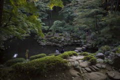 殿ヶ谷戸庭園