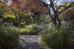 向島百花園