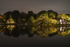 六義園 ライトアップ