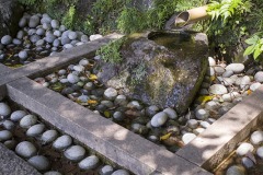 ハケの道にある湧水