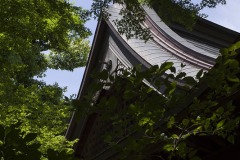 旧村川別荘 見上げた新館の屋根