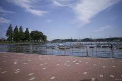 手賀沼公園 桟橋とボート