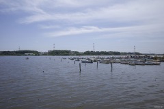 手賀沼公園 沼に並ぶ杭