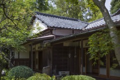 旧武者小路実篤邸跡 木立ごしの母屋