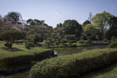 あけぼの山農業公園 日本庭園 池と刈込