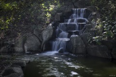 あけぼの山農業公園 白百合の滝 滝壺の水面