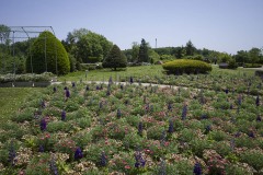 花の城ゾーンの花壇