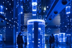 アクアパーク品川 ジェリーフィッシュランブル 青く光る展示室