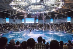 アクアパーク品川 ザ スタジアム 円形プールと噴水