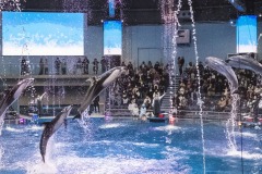 ザ スタジアム