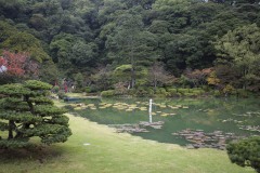 海地獄 池と山を望む庭園