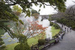 海地獄 紅葉と睡蓮の池