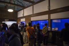 白池地獄 熱帯魚館