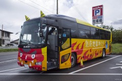 亀の井バス 定期観光バス