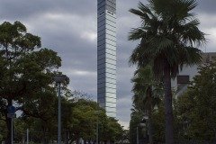 ヤシ並木と千葉ポートタワー