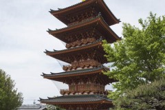飯沼観音 五重塔