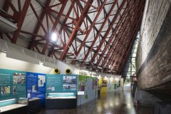 第五福竜丸 船体の横にある展示