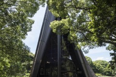 第五福竜丸展示館 木立ごしの外観