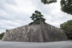 天守台と松