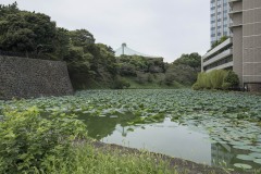 牛ヶ淵