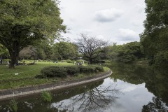 北の丸公園