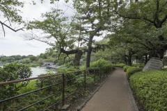 千鳥ヶ淵緑道