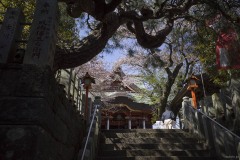 石段ごしの本堂