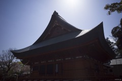 本堂 屋根