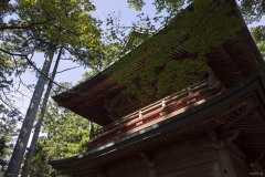 文殊楼 見上げた屋根