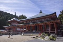 東塔と阿弥陀堂