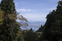 琵琶湖 木立ごしの眺め