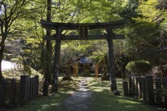 西塔地域 鳥居と参道