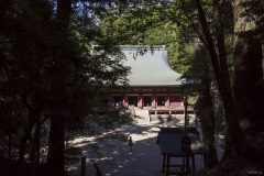 釈迦堂 木立ごしの屋根