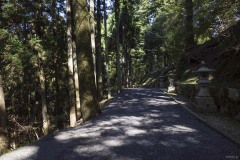 西塔から横川への林道