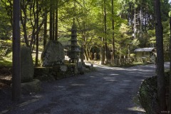 石碑と石灯籠が並ぶ参道