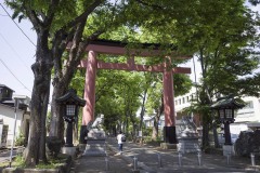 大宮氷川神社 二の鳥居