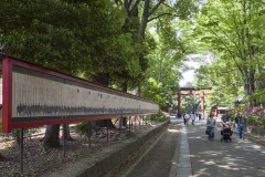 大宮氷川神社 参道の看板