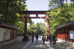 大宮氷川神社 三の鳥居