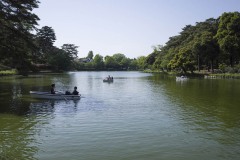 大宮公園 ボートの浮かぶ池