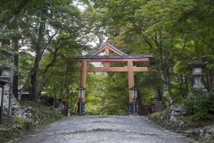 山王鳥居