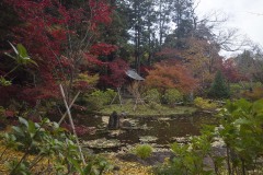 紅葉の弁天堂