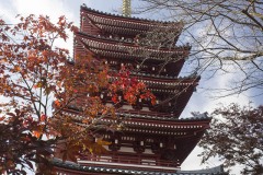 紅葉と五重塔